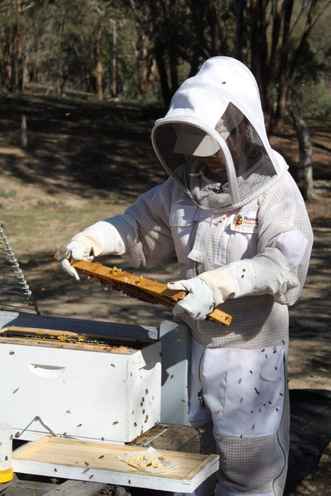 Book a Beekeeping Experience &#8211; Calenny Orchard